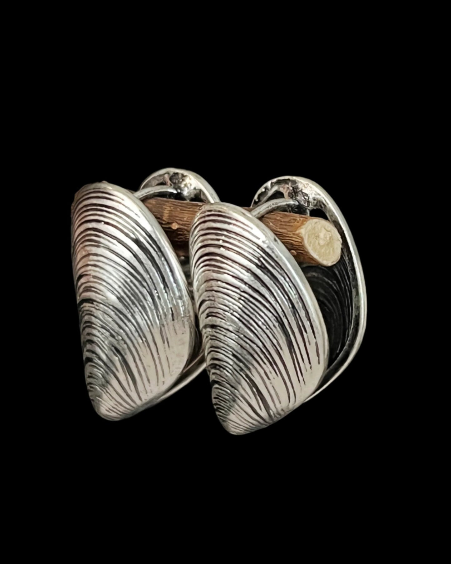 Silver Striped Clam