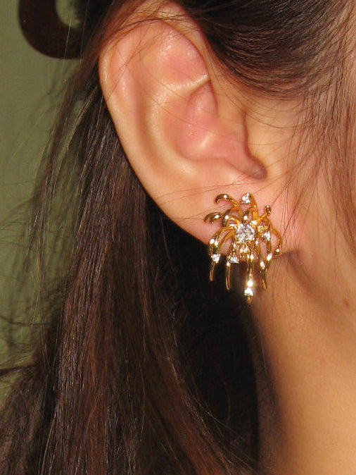 Close-up of an ear wearing a decorative earring with a blurred background