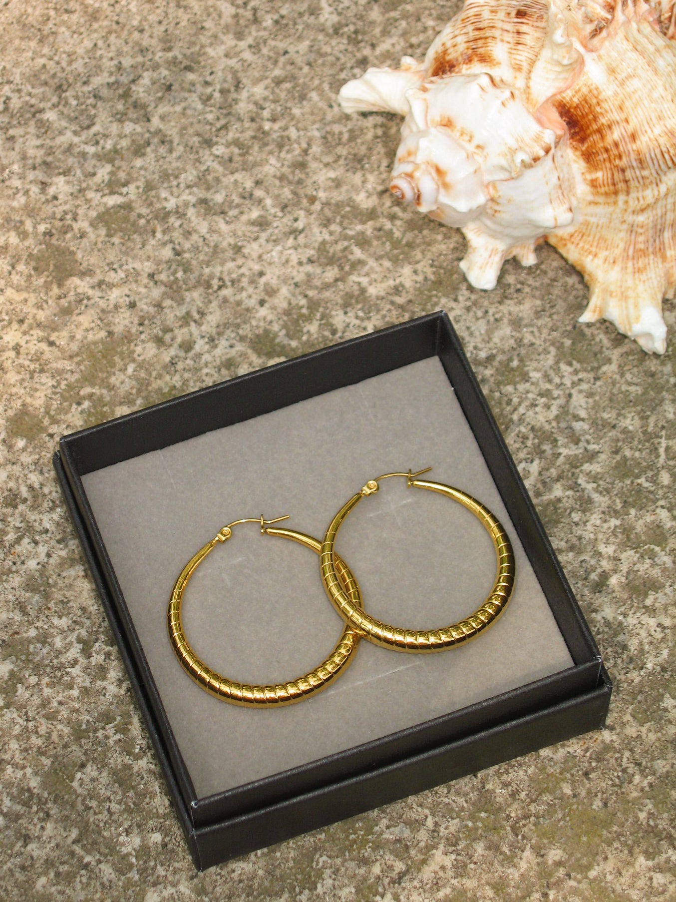 Gold hoop earrings in a black box with seashells on a textured surface